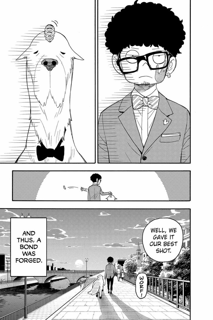 Spy x Family, Chapter 66.5 image 19